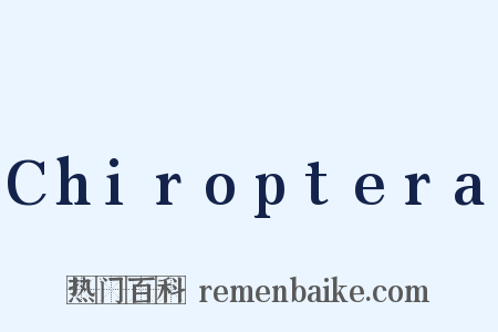 Chiroptera是什么意思的图片
